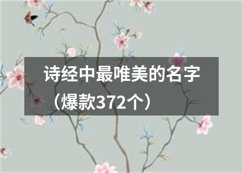 诗经中最唯美的名字（爆款372个）