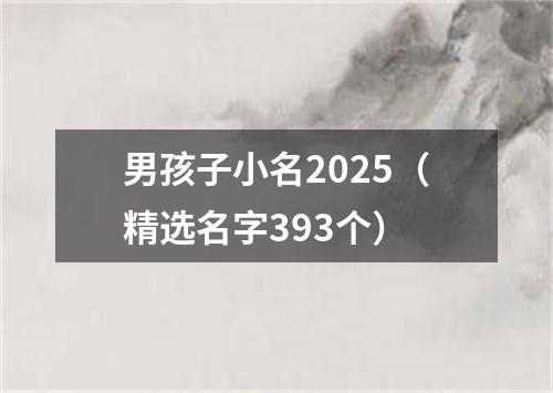 男孩子小名2025（精选名字393个）