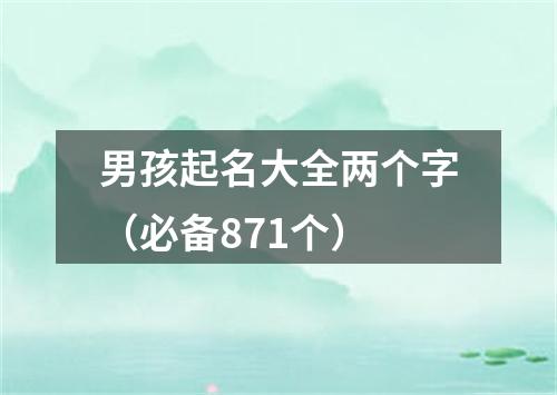 男孩起名大全两个字（必备871个）