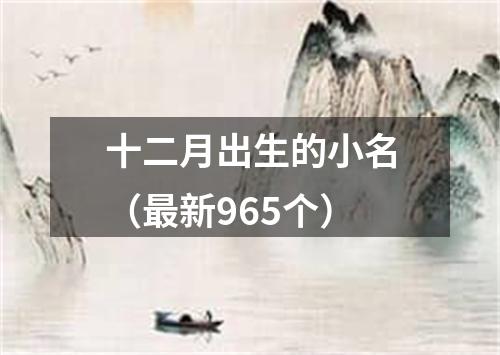 十二月出生的小名（最新965个）