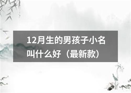 12月生的男孩子小名叫什么好（最新款）