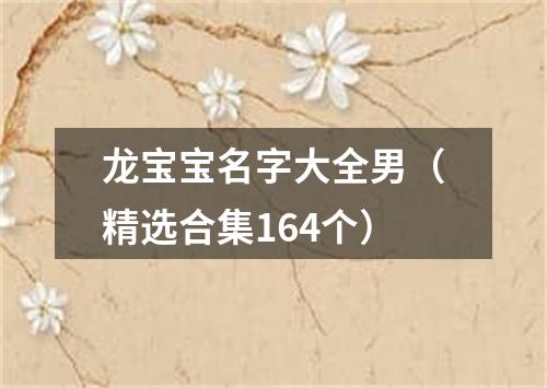 龙宝宝名字大全男（精选合集164个）