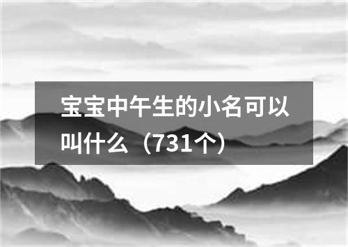 宝宝中午生的小名可以叫什么（731个）