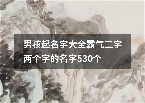 男孩起名字大全霸气二字两个字的名字530个