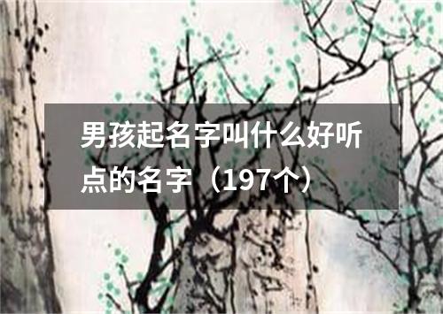 男孩起名字叫什么好听点的名字（197个）