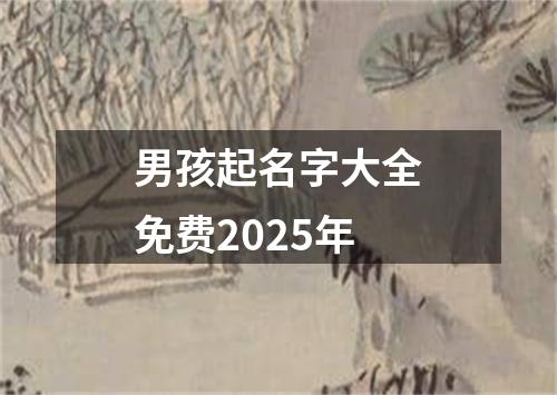 男孩起名字大全免费2025年