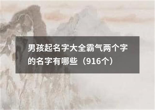 男孩起名字大全霸气两个字的名字有哪些（916个）