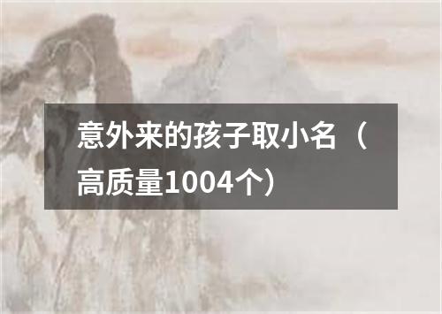 意外来的孩子取小名（高质量1004个）