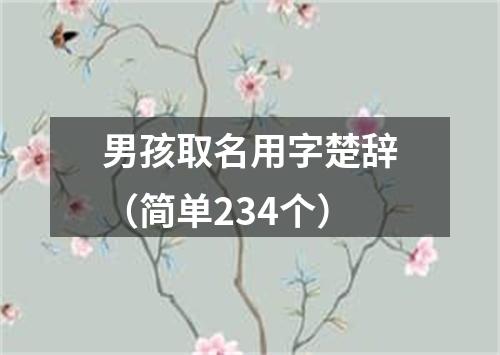 男孩取名用字楚辞(简单234个)