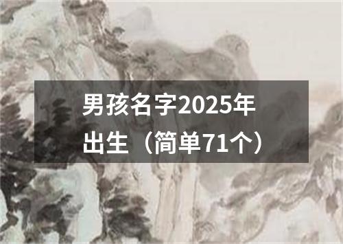 男孩名字2025年出生（简单71个）