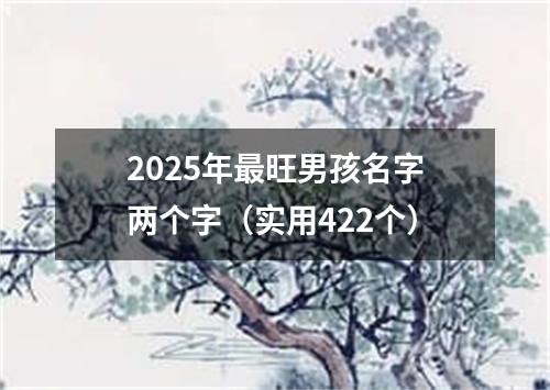 2025年最旺男孩名字两个字（实用422个）