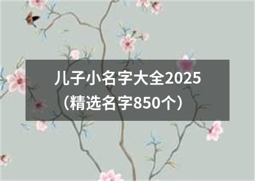 儿子小名字大全2025（精选名字850个）