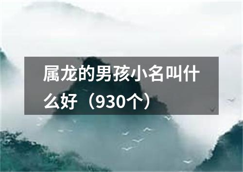 属龙的男孩小名叫什么好（930个）