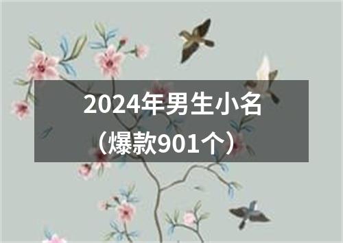 2024年男生小名（爆款901个）