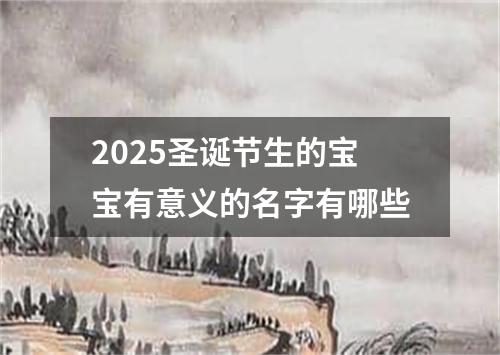 2025圣诞节生的宝宝有意义的名字有哪些