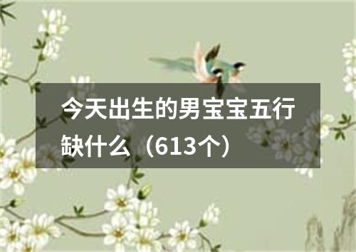 今天出生的男宝宝五行缺什么（613个）