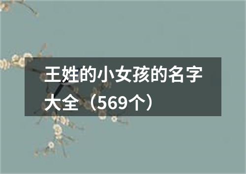 王姓的小女孩的名字大全（569个）