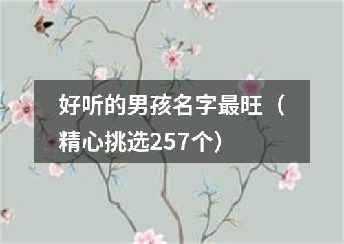 好听的男孩名字最旺（精心挑选257个）