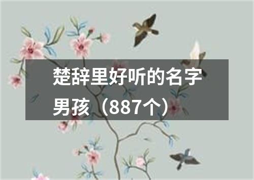 楚辞里好听的名字男孩（887个）