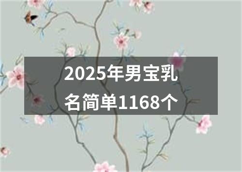 2025年男宝乳名简单1168个
