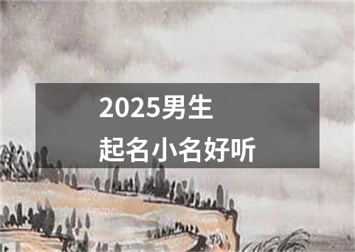 2025男生起名小名好听
