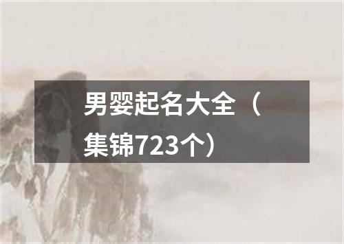 男婴起名大全（集锦723个）