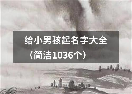 给小男孩起名字大全（简洁1036个）