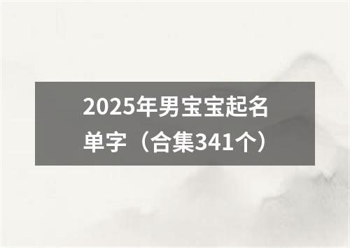 2025年男宝宝起名单字(合集341个)