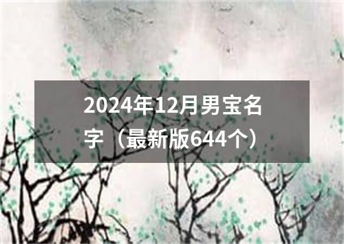 2024年12月男宝名字（最新版644个）