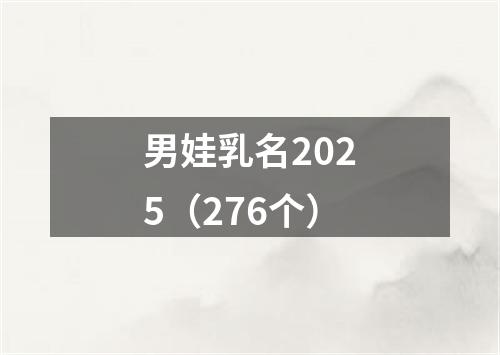 男娃乳名2025（276个）