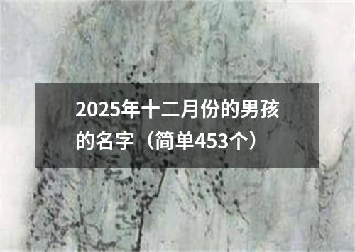 2025年十二月份的男孩的名字（简单453个）