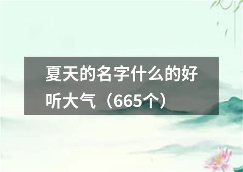 夏天的名字什么的好听大气（665个）