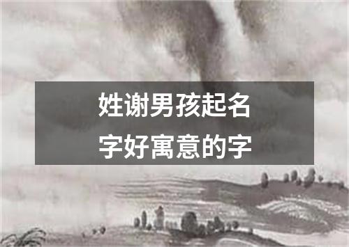姓谢男孩起名字好寓意的字