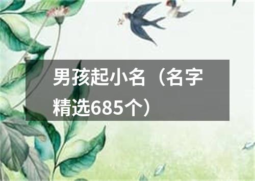 男孩起小名(名字精选685个)