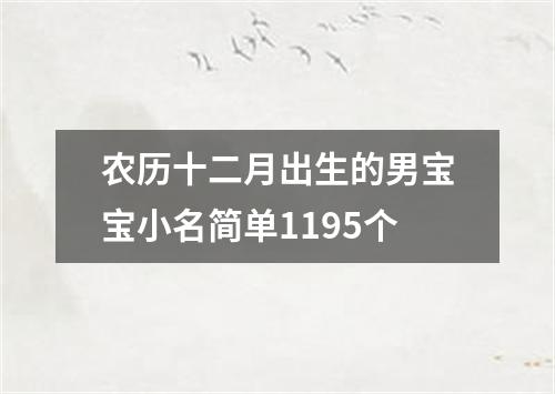 农历十二月出生的男宝宝小名简单1195个