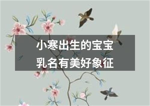 小寒出生的宝宝乳名有美好象征