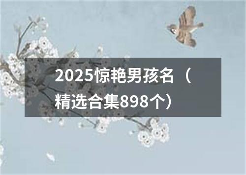 2025惊艳男孩名（精选合集898个）