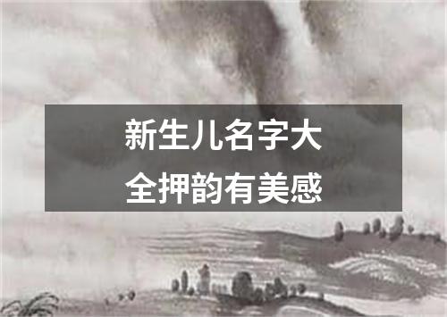 新生儿名字大全押韵有美感