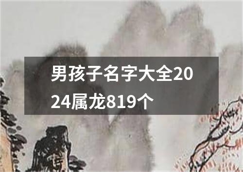 男孩子名字大全2024属龙819个