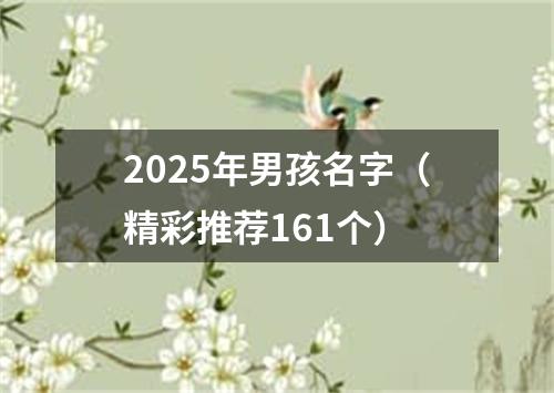 2025年男孩名字(精彩推荐161个)