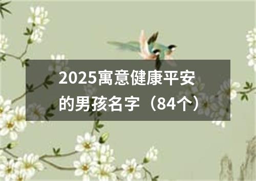 2025寓意健康平安的男孩名字(84个)
