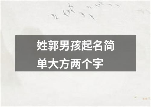 姓郭男孩起名简单大方两个字