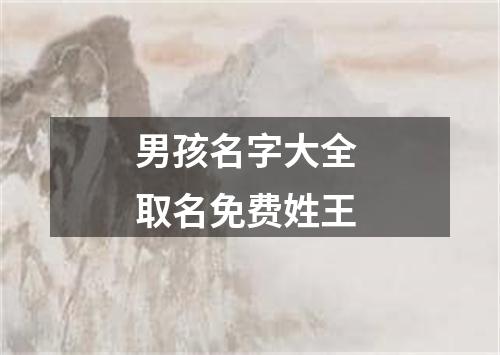 男孩名字大全 取名免费姓王