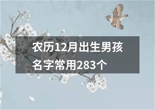 农历12月出生男孩名字常用283个