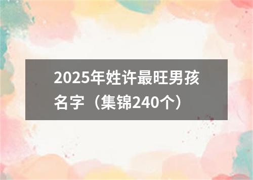 2025年姓许最旺男孩名字（集锦240个）