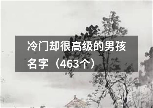 冷门却很高级的男孩名字（463个）