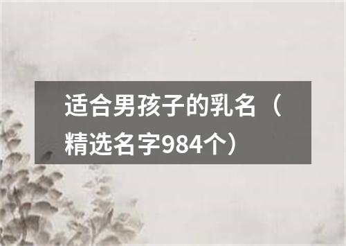 适合男孩子的乳名(精选名字984个)