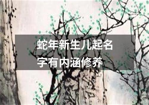 蛇年新生儿起名字有内涵修养