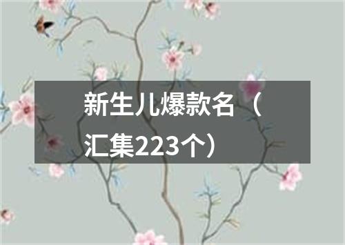新生儿爆款名(汇集223个)