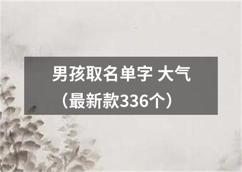男孩取名单字 大气（最新款336个）